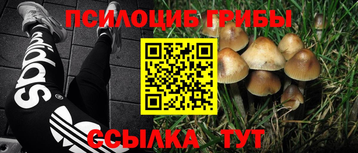 Псилоцибиновые грибы MAGIC MUSHROOMS  Вход с VPN  купить закладку  Артём 